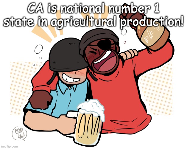 soldier and demo | CA is national number 1 state in agricultural production! | image tagged in soldier and demo | made w/ Imgflip meme maker