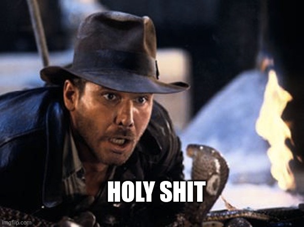 Indiana Jones - It Had To Be Snakes | HOLY SHIT | image tagged in indiana jones - it had to be snakes | made w/ Imgflip meme maker