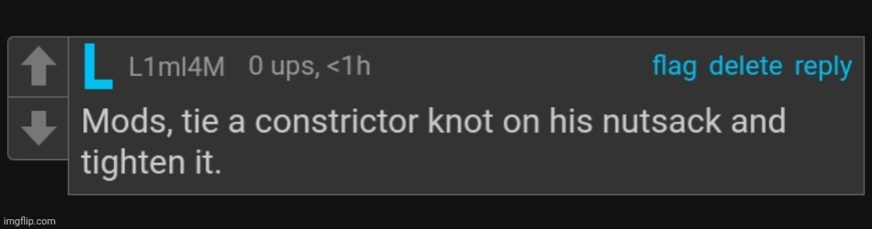 Mods tie a constrictor knot on his nutsack and tighten it. | image tagged in mods tie a constrictor knot on his nutsack and tighten it | made w/ Imgflip meme maker