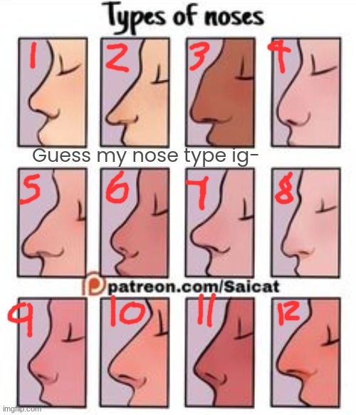 nose shape chart