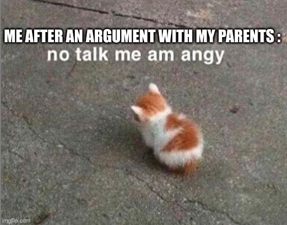 fr tho | ME AFTER AN ARGUMENT WITH MY PARENTS : | image tagged in no talk me am angy | made w/ Imgflip meme maker