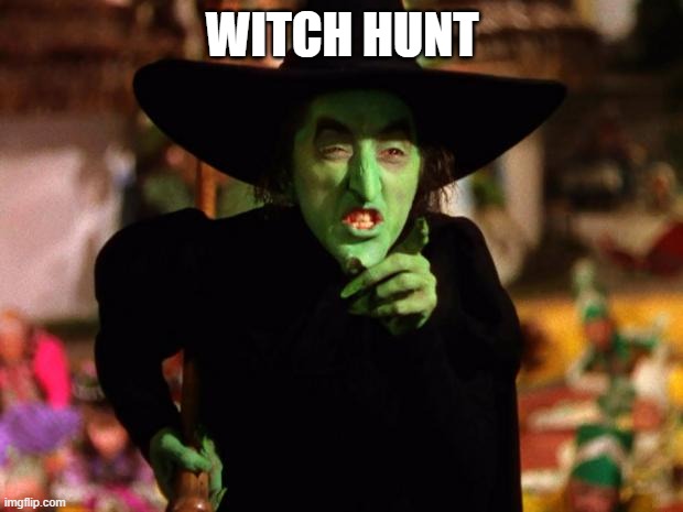 wicked witch  | WITCH HUNT | image tagged in wicked witch | made w/ Imgflip meme maker