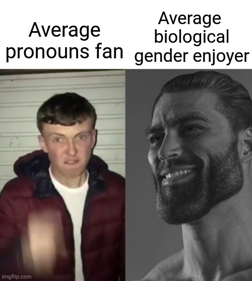 I'm a big fan of biological gender | Average 
biological gender enjoyer; Average pronouns fan | image tagged in average fan vs average enjoyer | made w/ Imgflip meme maker