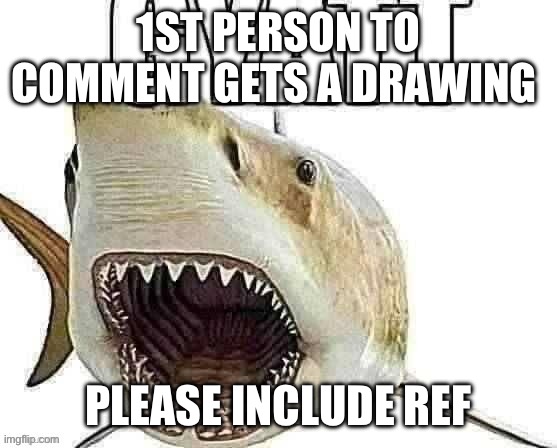 Shark gyatt | 1ST PERSON TO COMMENT GETS A DRAWING; PLEASE INCLUDE REFERENCE | image tagged in shark gyatt | made w/ Imgflip meme maker