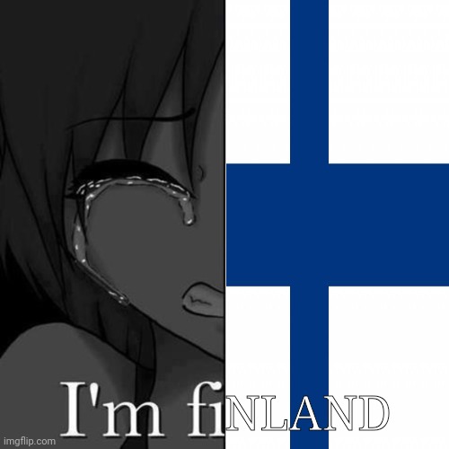 I'm fi | NLAND | image tagged in i'm fi | made w/ Imgflip meme maker