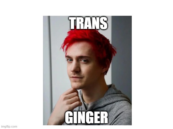 transginger | TRANS; GINGER | image tagged in online gaming | made w/ Imgflip meme maker