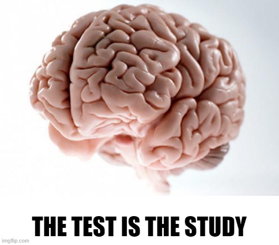 only the smartest know this | THE TEST IS THE STUDY | image tagged in scumbag brain | made w/ Imgflip meme maker