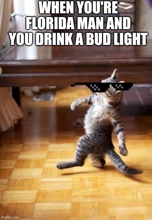 Cool Cat Stroll Meme | WHEN YOU'RE FLORIDA MAN AND YOU DRINK A BUD LIGHT | image tagged in memes,cool cat stroll | made w/ Imgflip meme maker