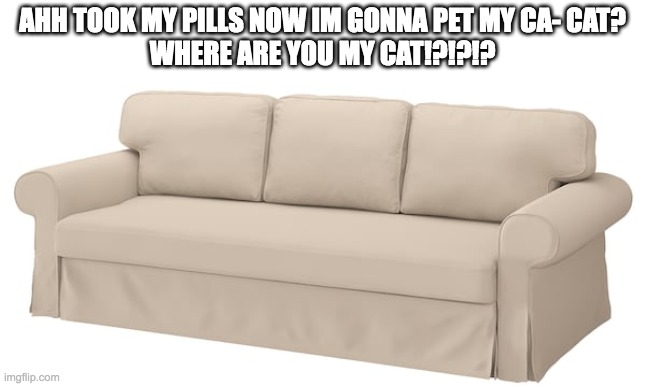 Sofa | AHH TOOK MY PILLS NOW IM GONNA PET MY CA- CAT?
WHERE ARE YOU MY CAT!?!?!? | image tagged in sofa | made w/ Imgflip meme maker