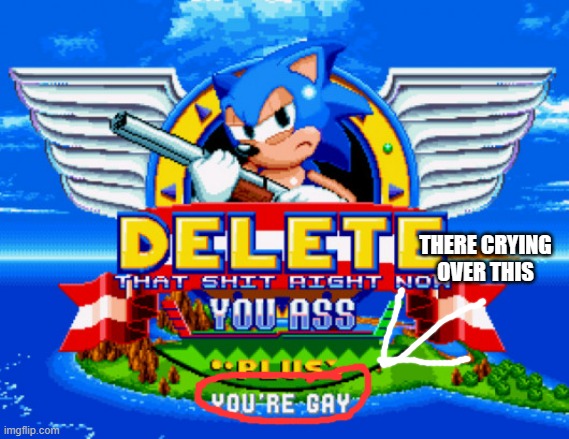 Sonic holding a shotgun to tell you to delete | THERE CRYING OVER THIS | image tagged in sonic holding a shotgun to tell you to delete | made w/ Imgflip meme maker