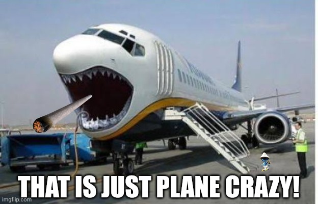 THAT IS JUST PLANE CRAZY! | image tagged in memes,plane,crazy | made w/ Imgflip meme maker