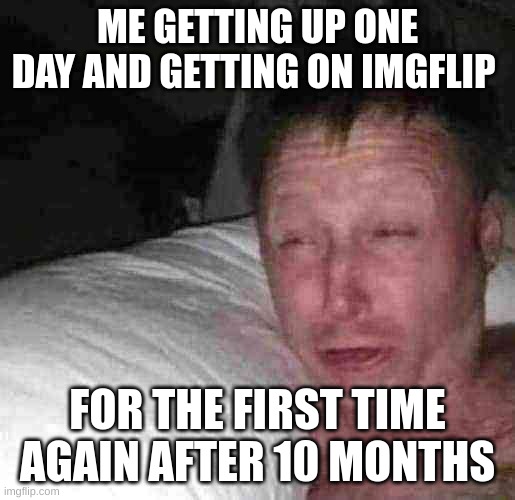 IM BACK | ME GETTING UP ONE DAY AND GETTING ON IMGFLIP; FOR THE FIRST TIME AGAIN AFTER 10 MONTHS | image tagged in sleepy guy,ight im back,im back,fun | made w/ Imgflip meme maker