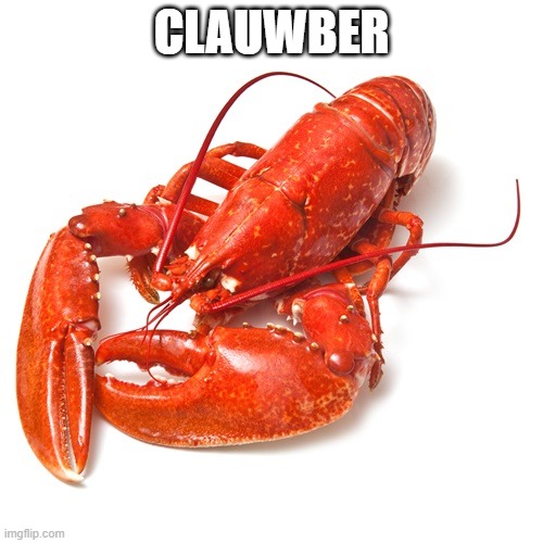 Lobster | CLAUWBER | image tagged in lobster | made w/ Imgflip meme maker