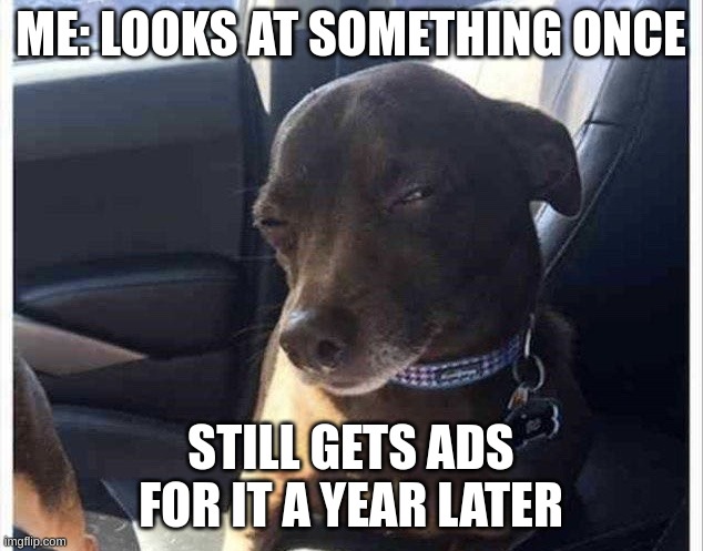 Wait a minute... | ME: LOOKS AT SOMETHING ONCE; STILL GETS ADS FOR IT A YEAR LATER | image tagged in wait a minute | made w/ Imgflip meme maker