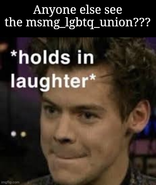 I am rolling rn | Anyone else see the msmg_lgbtq_union??? | image tagged in holds in laughter | made w/ Imgflip meme maker