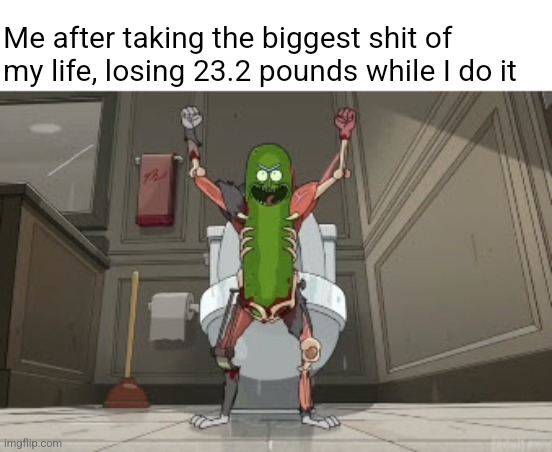 My ass is bleeding help | Me after taking the biggest shit of my life, losing 23.2 pounds while I do it | image tagged in pickle rick | made w/ Imgflip meme maker