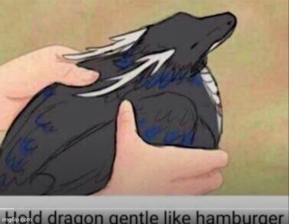 Hamburger | made w/ Imgflip meme maker