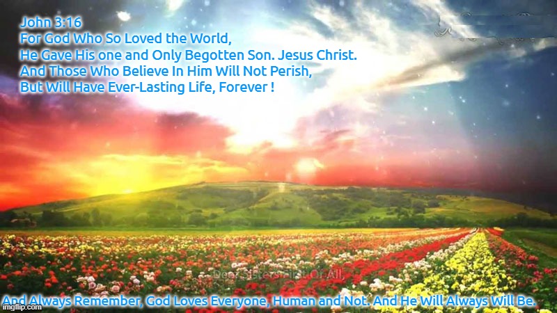 John 3:16 Forever. | John 3:16
For God Who So Loved the World,
He Gave His one and Only Begotten Son. Jesus Christ.
And Those Who Believe In Him Will Not Perish,
But Will Have Ever-Lasting Life, Forever ! And Always Remember, God Loves Everyone, Human and Not. And He Will Always Will Be. | image tagged in jannah,bible verse,god loves everyone,for christian furries | made w/ Imgflip meme maker