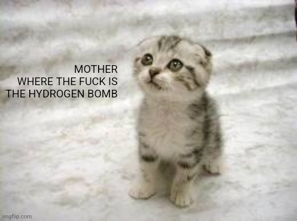 Hydrogen bomb | MOTHER
WHERE THE FUCK IS THE HYDROGEN BOMB | image tagged in memes,sad cat | made w/ Imgflip meme maker
