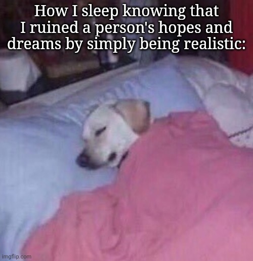 Doggo | How I sleep knowing that I ruined a person's hopes and dreams by simply being realistic: | image tagged in how i sleep at night | made w/ Imgflip meme maker