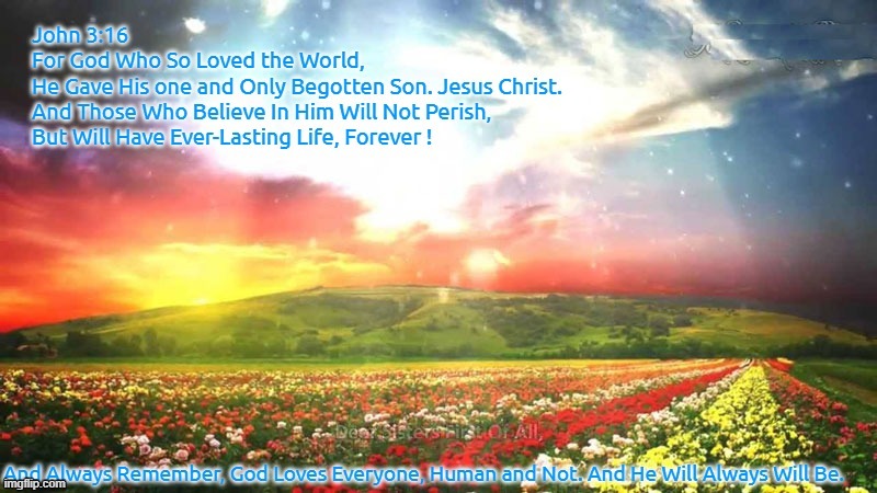 John 3:16 Forever. God Loves Everyone, Human and Not ! | image tagged in bible verse,for christian furries,god loves everone | made w/ Imgflip meme maker