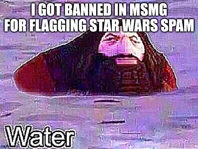 PS1 hagord | I GOT BANNED IN MSMG FOR FLAGGING STAR WARS SPAM | image tagged in ps1 hagord | made w/ Imgflip meme maker