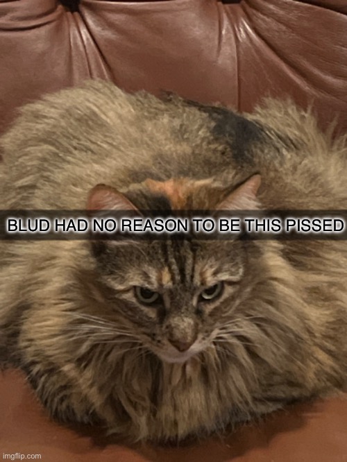 BLUD HAD NO REASON TO BE THIS PISSED | made w/ Imgflip meme maker