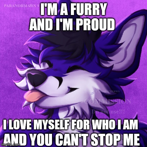 I'm a furry b*tches | I'M A FURRY AND I'M PROUD; I LOVE MYSELF FOR WHO I AM; AND YOU CAN'T STOP ME | image tagged in meme | made w/ Imgflip meme maker