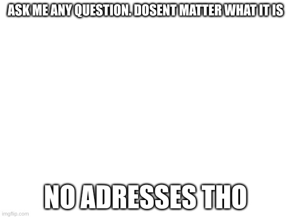 go ahead. | ASK ME ANY QUESTION. DOSENT MATTER WHAT IT IS; NO ADRESSES THO | image tagged in oh wow are you actually reading these tags | made w/ Imgflip meme maker