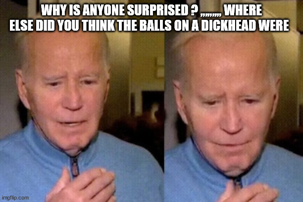 WHY IS ANYONE SURPRISED ? ,,,,,,,,, WHERE ELSE DID YOU THINK THE BALLS ON A DICKHEAD WERE | made w/ Imgflip meme maker