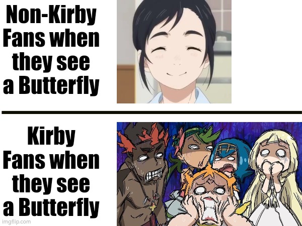 Especially that orange Butterfly! | Non-Kirby Fans when they see a Butterfly; Kirby Fans when they see a Butterfly | image tagged in kirby,butterfly,funny memes,real | made w/ Imgflip meme maker