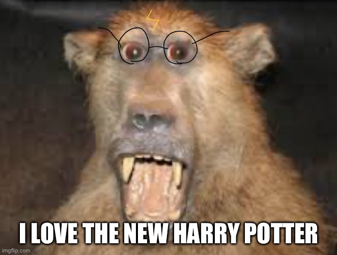 The new Harry Potter Monkey | I LOVE THE NEW HARRY POTTER | image tagged in harry potter meme | made w/ Imgflip meme maker