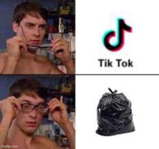 Hmmm..I see no difference | image tagged in tiktok sucks,funny memes | made w/ Imgflip meme maker