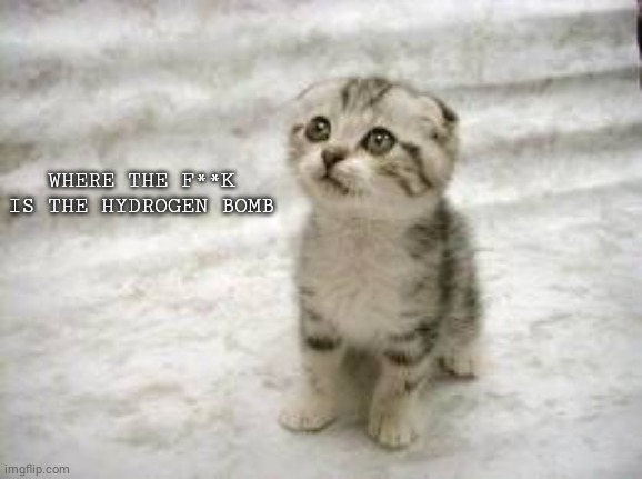 Sad Cat Meme | WHERE THE F**K IS THE HYDROGEN BOMB | image tagged in memes,sad cat | made w/ Imgflip meme maker