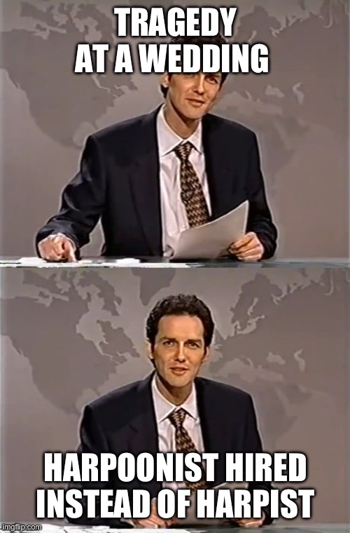 WEEKEND UPDATE WITH NORM | TRAGEDY AT A WEDDING; HARPOONIST HIRED INSTEAD OF HARPIST | image tagged in weekend update with norm | made w/ Imgflip meme maker