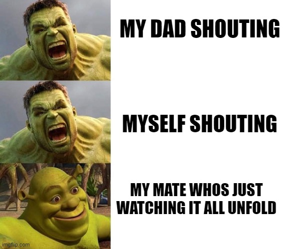 arguing against ur parents while u have a friend over. | MY DAD SHOUTING; MYSELF SHOUTING; MY MATE WHOS JUST WATCHING IT ALL UNFOLD | image tagged in hulk hulk shrek | made w/ Imgflip meme maker