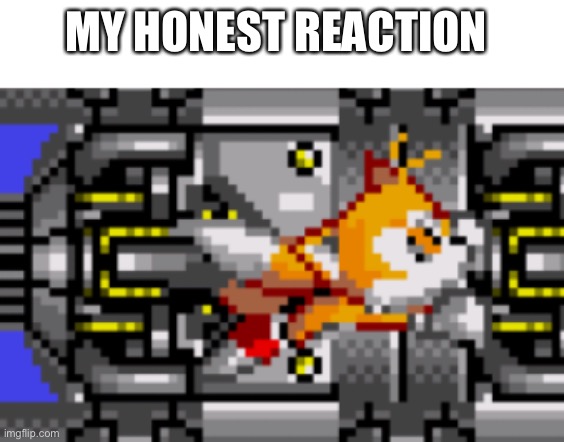 MY HONEST REACTION | made w/ Imgflip meme maker