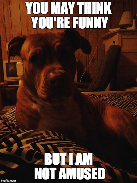 YOU MAY THINK YOU'RE FUNNY BUT I AM NOT AMUSED | image tagged in angelbaby | made w/ Imgflip meme maker