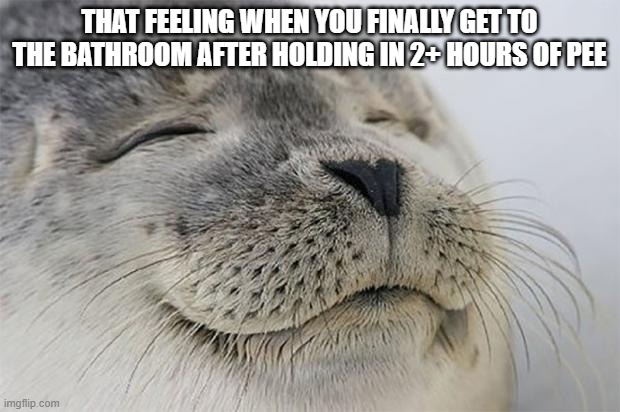 fr tho... | THAT FEELING WHEN YOU FINALLY GET TO THE BATHROOM AFTER HOLDING IN 2+ HOURS OF PEE | image tagged in memes,satisfied seal,relatable memes | made w/ Imgflip meme maker