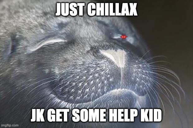 Satisfied Seal | JUST CHILLAX; JK GET SOME HELP KID | image tagged in memes,satisfied seal | made w/ Imgflip meme maker
