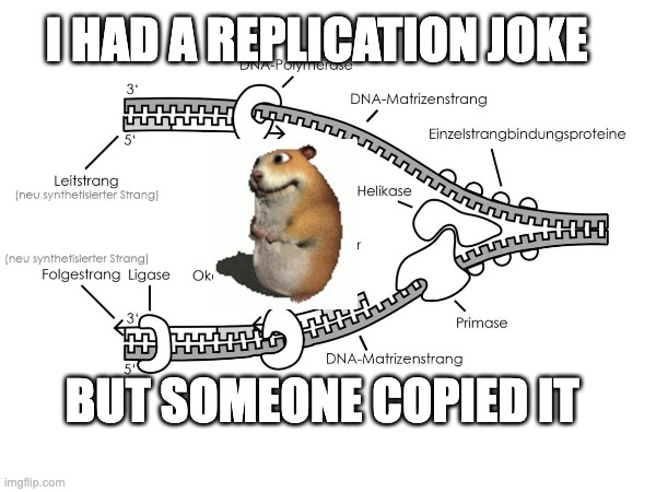 I HAD A REPLICATION JOKE ; BUT SOMEONE COPIED IT  | made w/ Imgflip meme maker