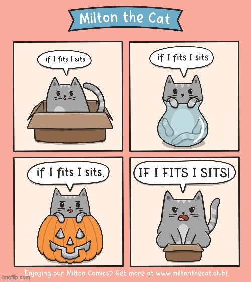 image tagged in memes,comics/cartoons,cats,fit,i,sit | made w/ Imgflip meme maker