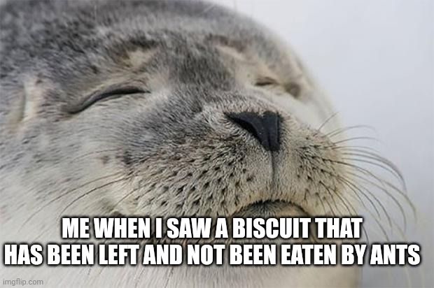 Free Food | ME WHEN I SAW A BISCUIT THAT HAS BEEN LEFT AND NOT BEEN EATEN BY ANTS | image tagged in memes,satisfied seal,funny | made w/ Imgflip meme maker