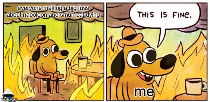 Genuinely me | everyone making a big fuss about napoleon and smurf cat dying; me | image tagged in memes,this is fine | made w/ Imgflip meme maker