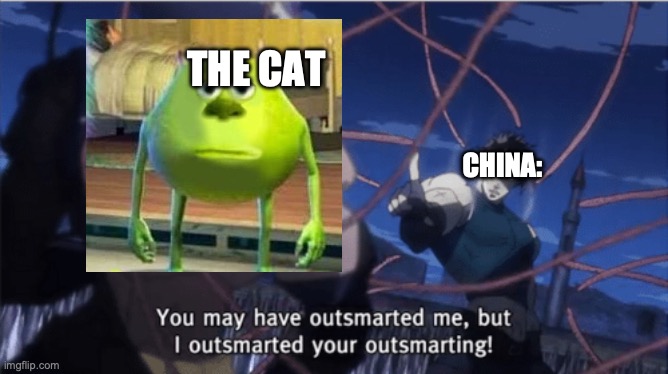 You may have outsmarted me, but i outsmarted your understanding | CHINA: THE CAT | image tagged in you may have outsmarted me but i outsmarted your understanding | made w/ Imgflip meme maker