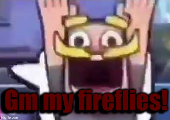 (real) | Gm my fireflies! Gm my fireflies! | made w/ Imgflip meme maker