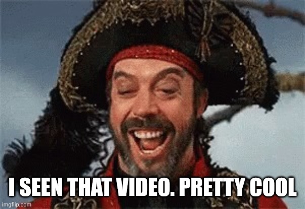 TIM CURRY PIRATE | I SEEN THAT VIDEO. PRETTY COOL | image tagged in tim curry pirate | made w/ Imgflip meme maker