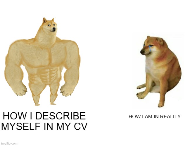 Buff Doge vs. Cheems | HOW I AM IN REALITY; HOW I DESCRIBE MYSELF IN MY CV | image tagged in memes,buff doge vs cheems | made w/ Imgflip meme maker