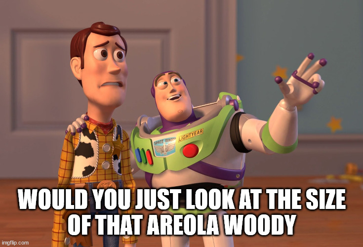 X, X Everywhere | WOULD YOU JUST LOOK AT THE SIZE
OF THAT AREOLA WOODY | image tagged in size does matter | made w/ Imgflip meme maker