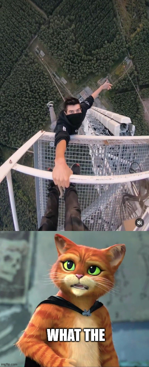 Puss in boots meet lattice climbing | WHAT THE | image tagged in the last wish,france,latticeclimbing,template,puss in boots | made w/ Imgflip meme maker